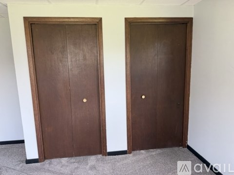 Two brown doors in a room with carpeted floor.