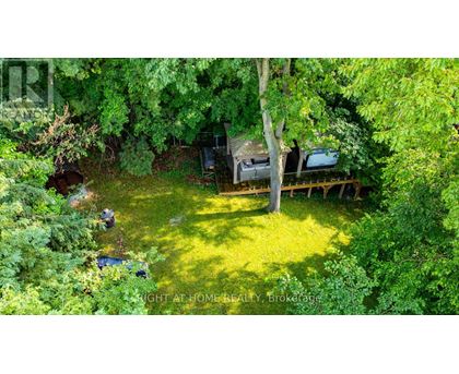 A backyard with a tree, a lawn, and a shed.