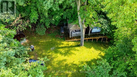 A backyard with a tree, a lawn, and a shed.