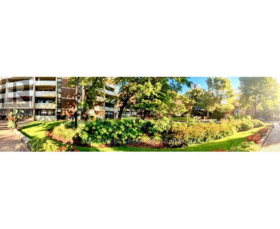 A well-maintained garden with a variety of plants and trees in front of a building.