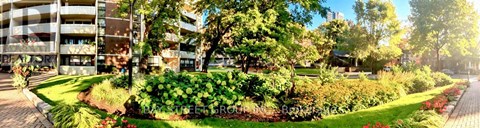 A well-maintained garden with a variety of plants and trees in front of a building.