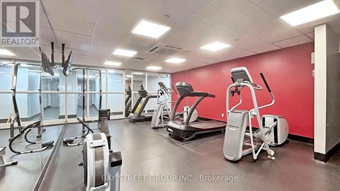 A gym with treadmills, elliptical machines, and other exercise equipment.