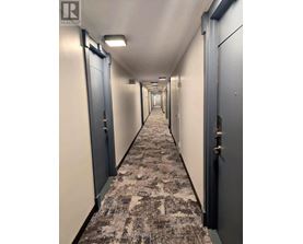 A long hallway with doors on both sides.