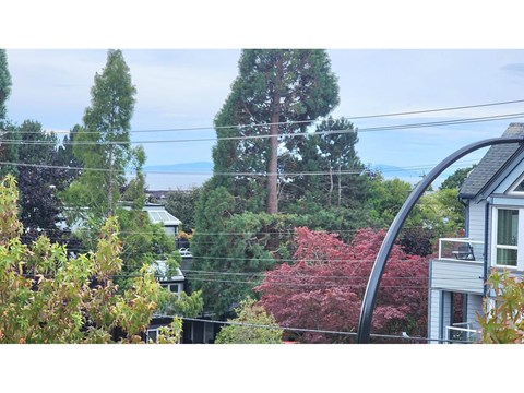 A view of a residential area with houses and trees.