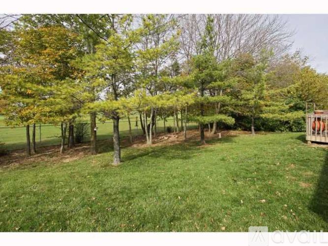 332 Stoneybrook Grove Dr 4 Beds Single Family Home for Rent - Photo gallery 3