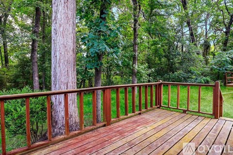 A wooden deck overlooks a lush green forest.