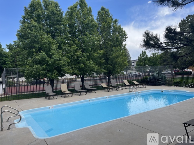 A pool surrounded by trees and chairs.