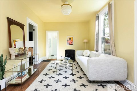 A living room with a white sofa and a black and white rug.