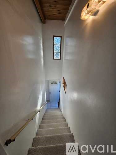 A staircase with a carpeted runner and wooden handrails leads to a door at the end.