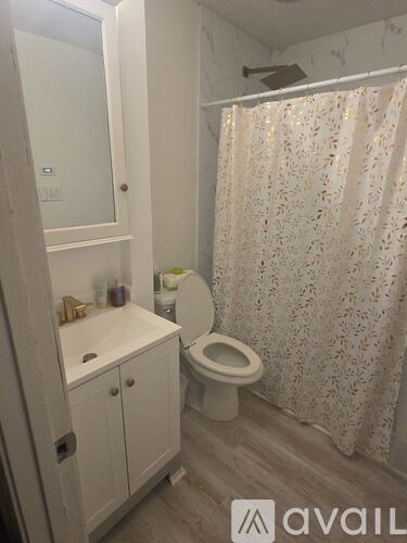 A white bathroom with a toilet, sink, and shower curtain.