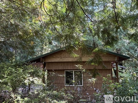 A small wooden cabin is surrounded by trees in a forest.