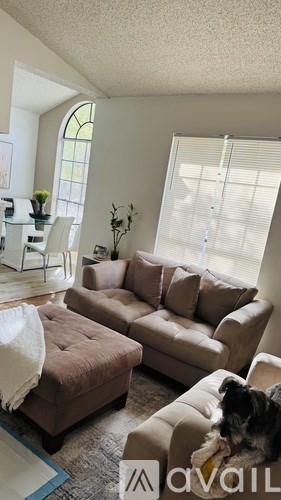 A dog is lying on a couch in a living room.