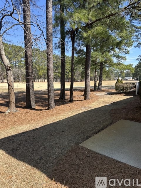 A pathway in a park with trees on either side.