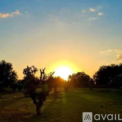 The sun is setting behind the trees in the field.