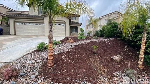 A front yard with a palm tree and a rocky ground.