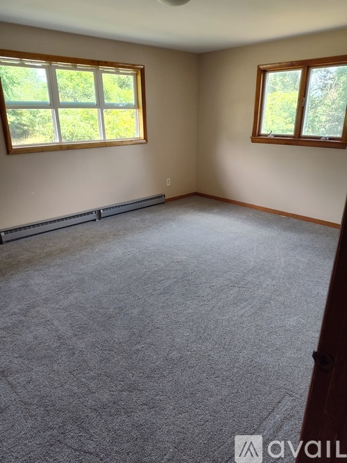 A room with grey carpet and two windows.