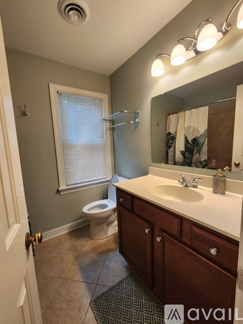 A bathroom with a toilet, sink, mirror, and a rug.