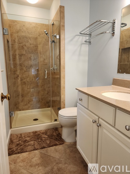 A bathroom with a toilet, sink, and walk-in shower.