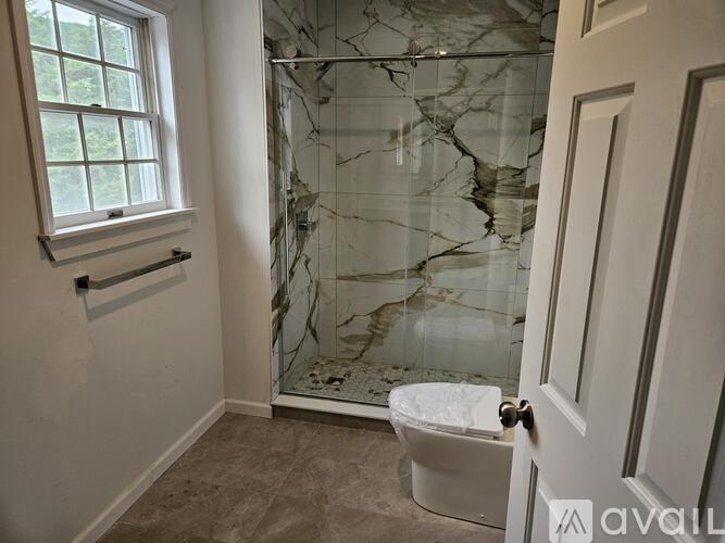 A bathroom with a marble shower and toilet.