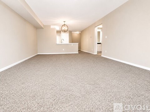 A spacious room with a carpeted floor and a single light fixture on the ceiling.