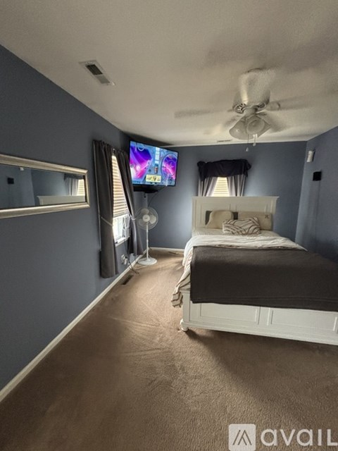 A bedroom with a bed, a ceiling fan, and a television.