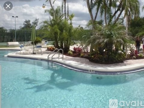 A swimming pool surrounded by palm trees and plants.
