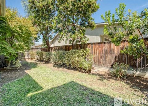 A backyard with a wooden fence and a variety of trees.