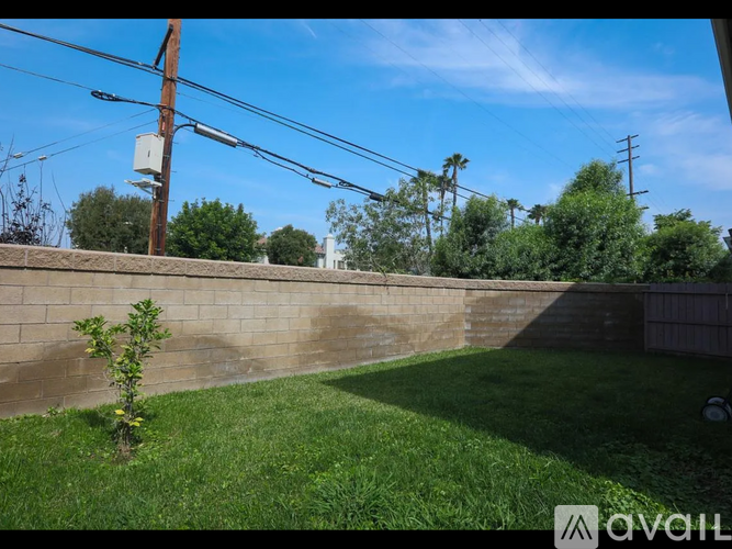 A small tree is growing in a grassy yard.