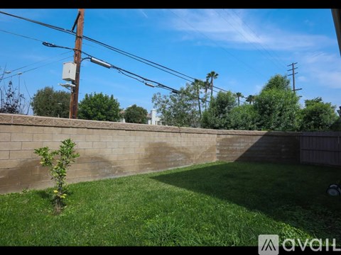 A small tree is growing in a grassy yard.