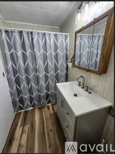 A bathroom with a wooden floor and a white sink.