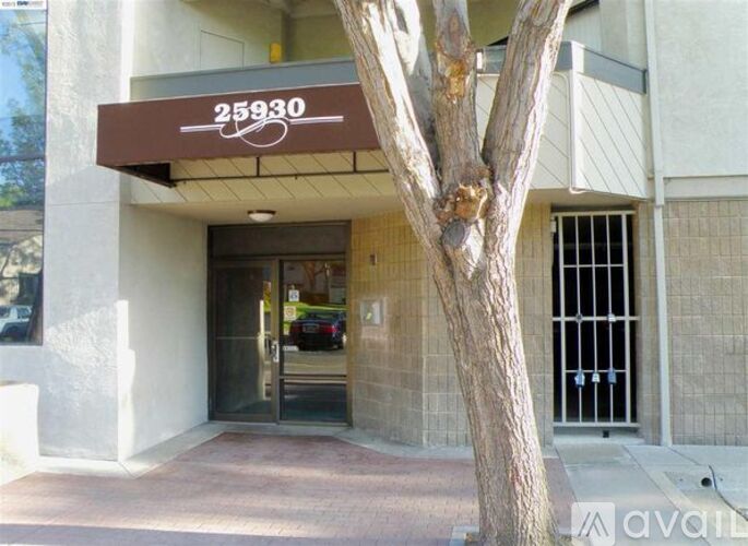 A tree is in front of a building with a brown awning that says 25930.