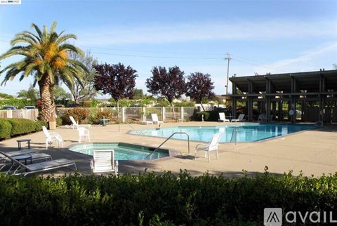 A pool area with a palm tree and a building in the background.