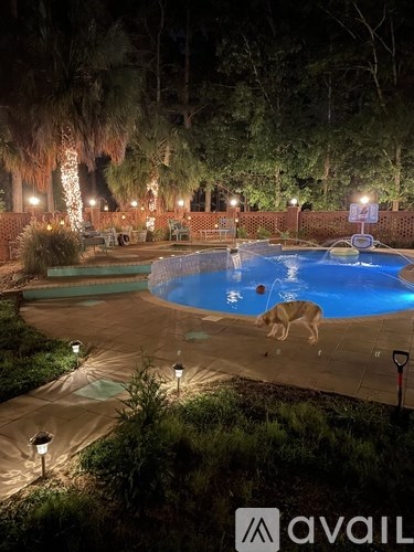 A dog is walking around a pool at night.