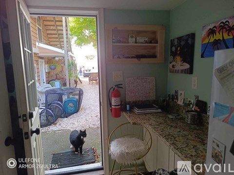 A black cat is sitting on a mat in the doorway of a room.