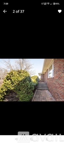 A house with a brick wall and a green bush.