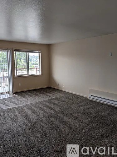 A room with a carpeted floor and a window.