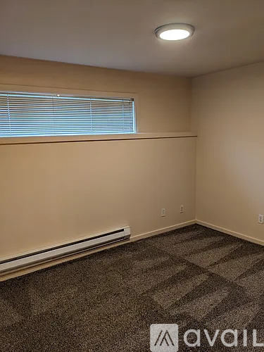 A carpeted room with a window and a wall-mounted heater.