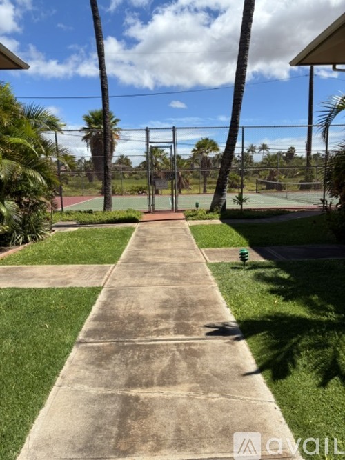 A tennis court is surrounded by a fence and palm trees.