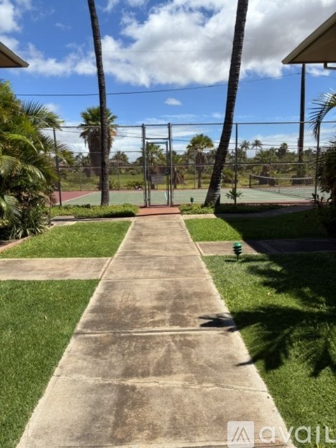 A tennis court is surrounded by a fence and palm trees.