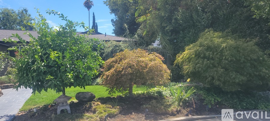 A garden with a tree in the middle and a house in the background.