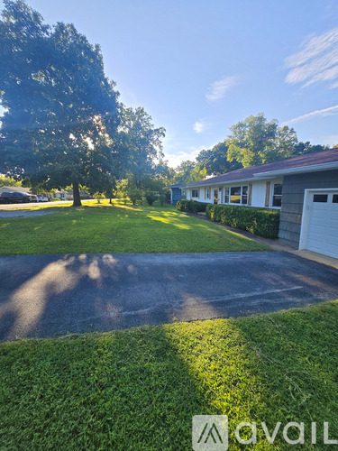 A residential area with a house, driveway, and trees.