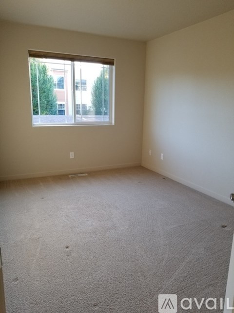 A room with a carpeted floor and a window showing an outdoor view.