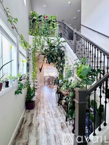 A long hallway with plants on the sides and a staircase.