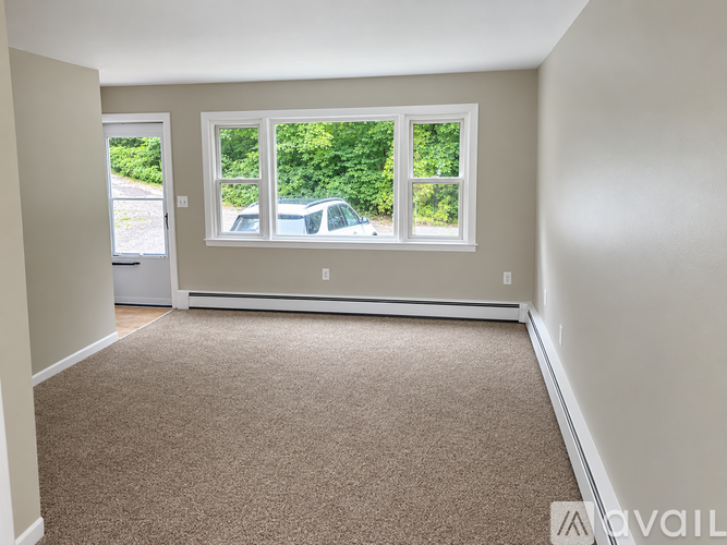 A room with carpeted floor, two windows, and a door.