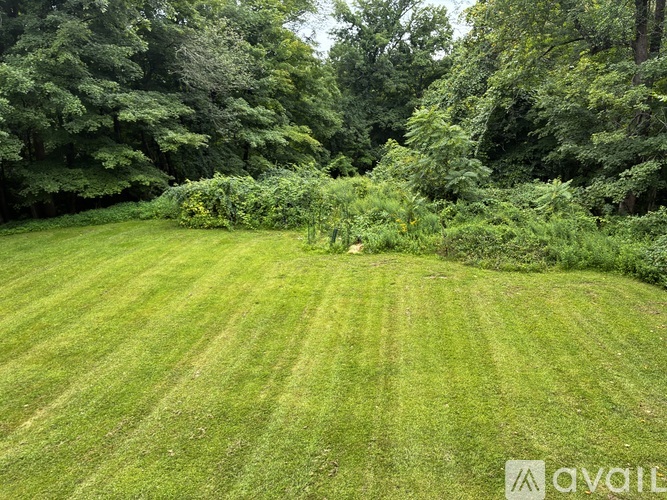 A grassy field with trees in the background.