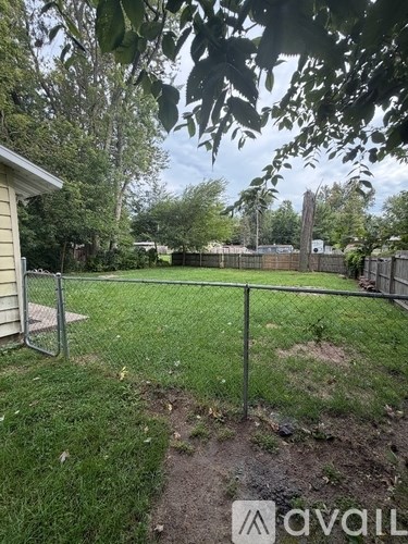 A backyard with a chain link fence and a tree in the foreground.