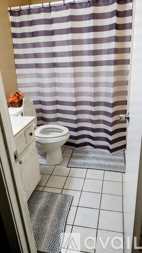 A bathroom with a toilet, a shower curtain and a mat on the floor.