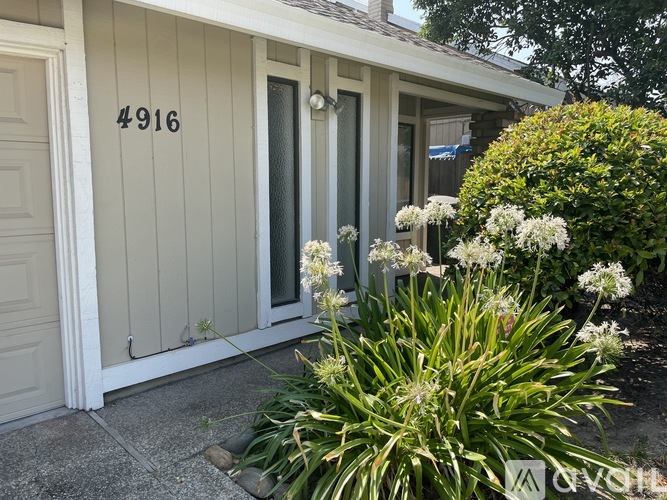 A house numbered 4916 with a white door and a glass window.