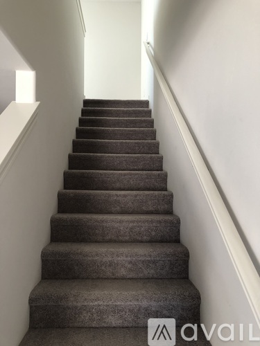A set of stairs with a carpeted runner and white handrails.
