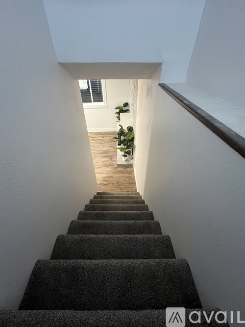 A staircase with a carpeted runner and a wooden handrail.
